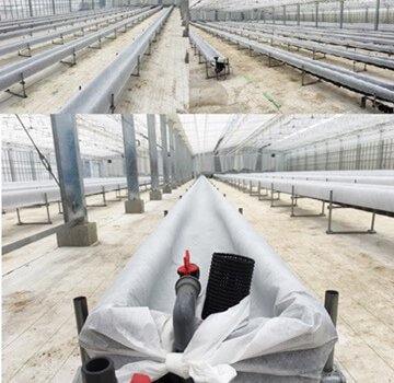 しあわせファーム　トマトハウス　植え替え作業