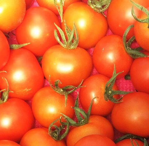 しあわせファーム　トマト