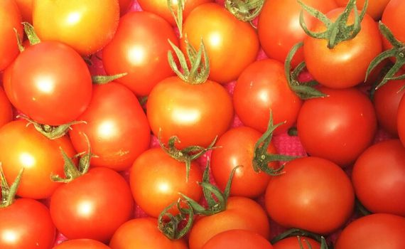 しあわせファーム　トマト