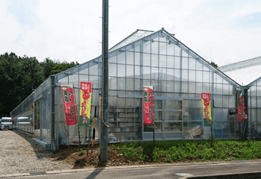 しあわせファーム　トマトハウス