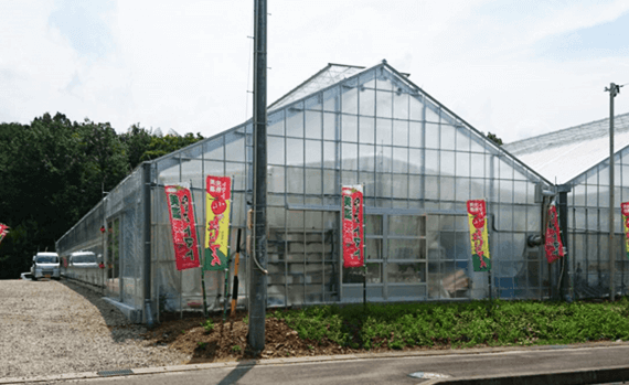 しあわせファーム　トマトハウス