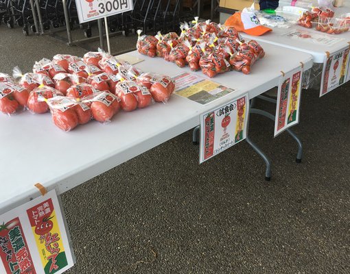 しあわせファーム　イベント　とれった