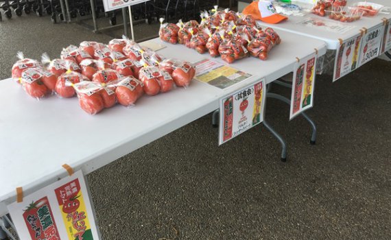 しあわせファーム　イベント　とれった